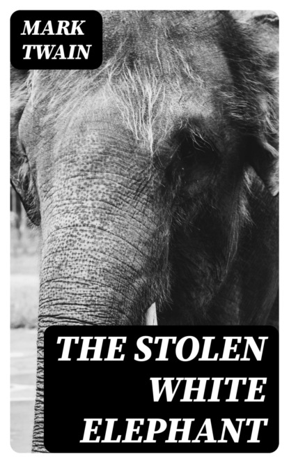 The Stolen White Elephant