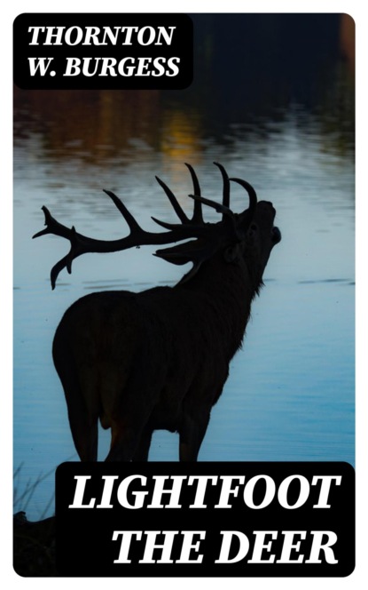 Lightfoot the Deer