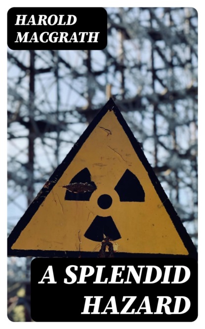 A Splendid Hazard