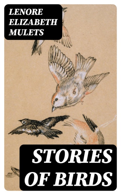 Stories of Birds