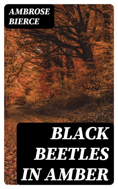 Black Beetles in Amber