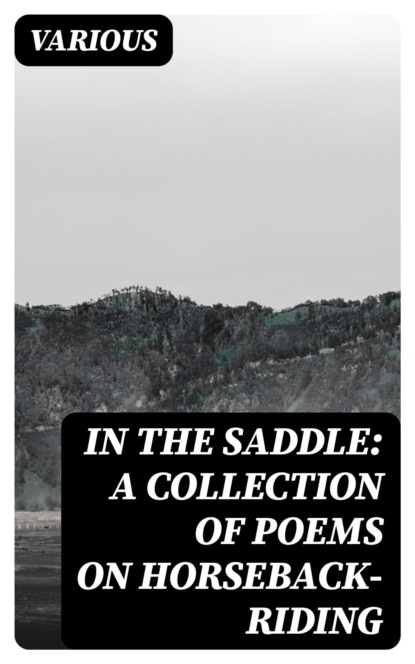 In the Saddle: A Collection of Poems on Horseback-Riding