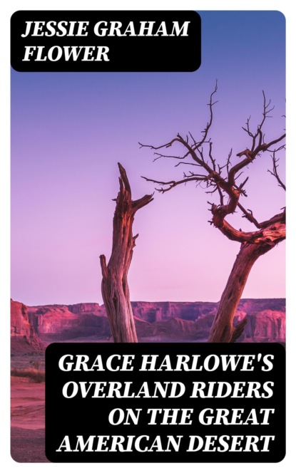 Grace Harlowe's Overland Riders on the Great American Desert