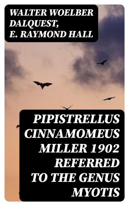 Pipistrellus cinnamomeus Miller 1902 Referred to the Genus Myotis