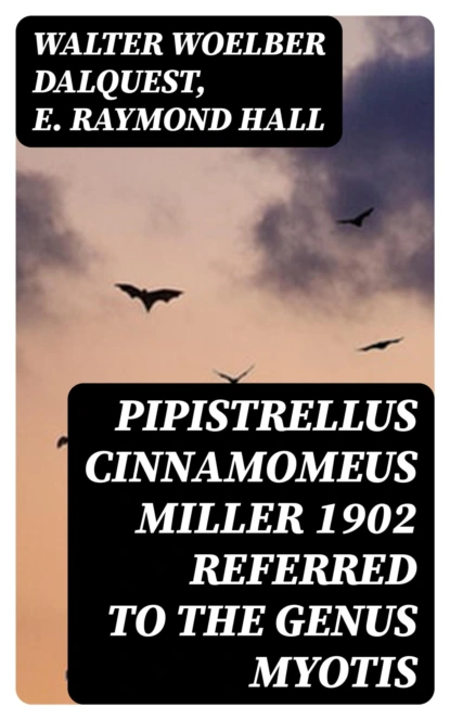 Pipistrellus cinnamomeus Miller 1902 Referred to the Genus Myotis