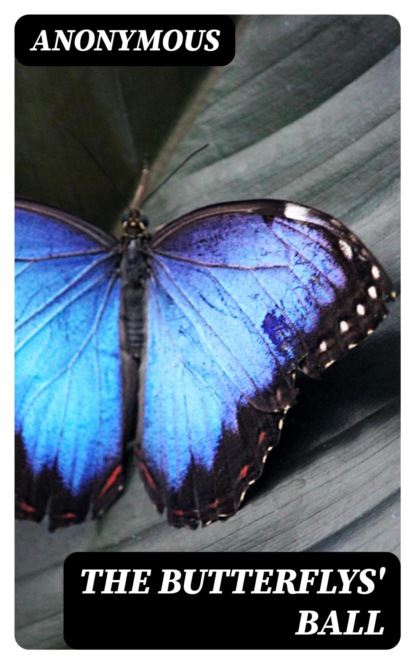 The Butterflys' Ball