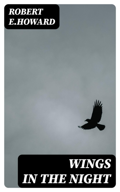 Wings in the Night