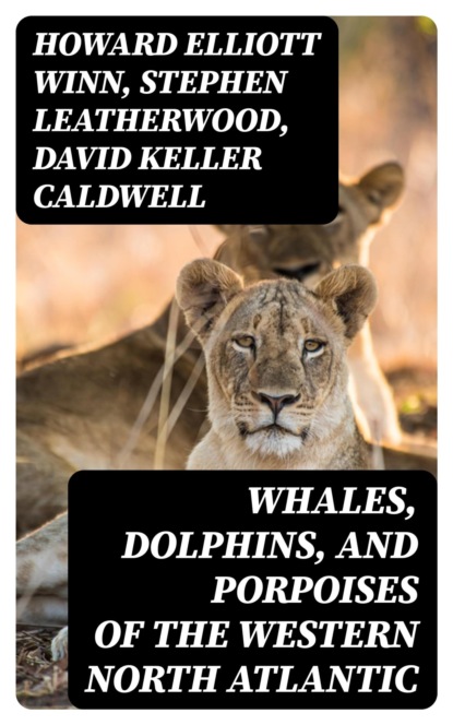 Whales, Dolphins, and Porpoises of the Western North Atlantic