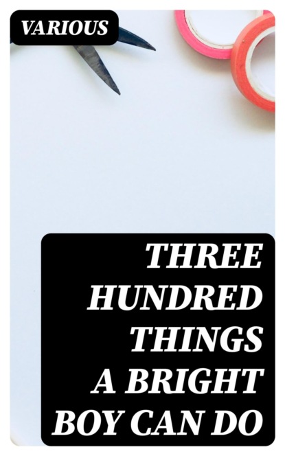 Three Hundred Things a Bright Boy Can Do