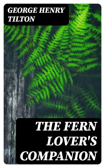 The Fern Lover's Companion