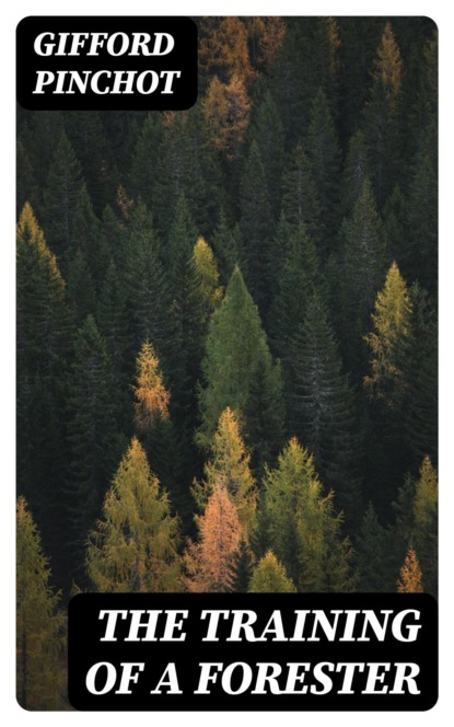 The Training of a Forester