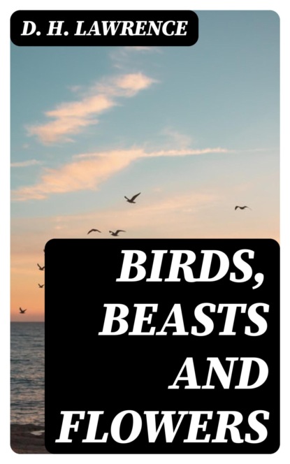 Birds, Beasts and Flowers