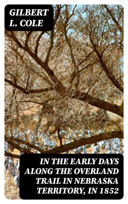 In the Early Days along the Overland Trail in Nebraska Territory, in 1852