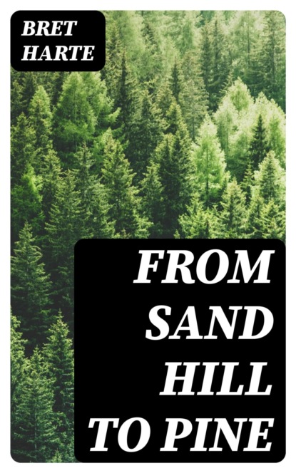 From Sand Hill to Pine