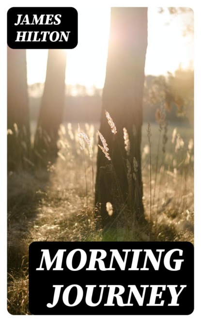 Morning Journey