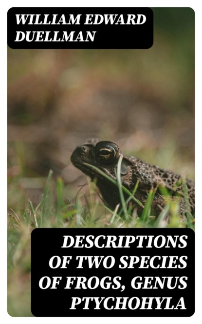 Descriptions of Two Species of Frogs, Genus Ptychohyla
