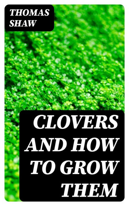 Clovers and How to Grow Them