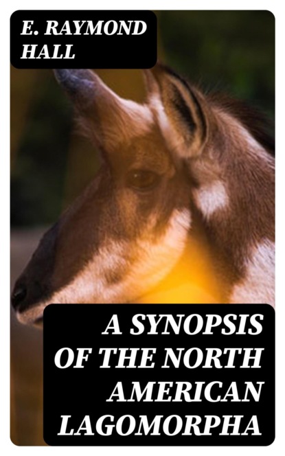 A Synopsis of the North American Lagomorpha
