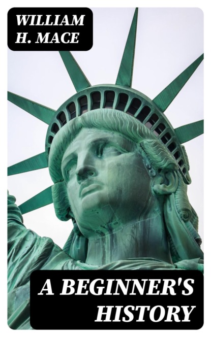 A Beginner's History