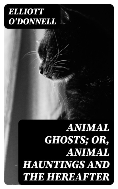 Animal Ghosts; Or, Animal Hauntings and the Hereafter