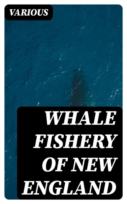 Whale Fishery of New England