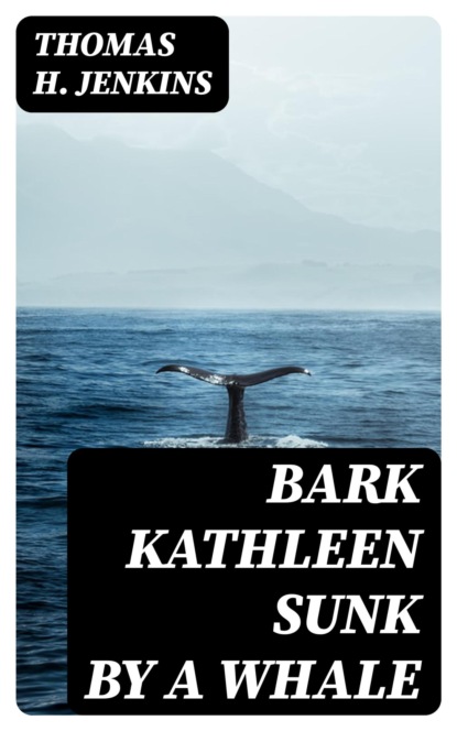 Bark Kathleen Sunk By A Whale