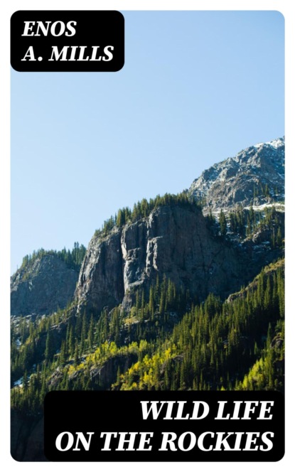 Wild Life on the Rockies