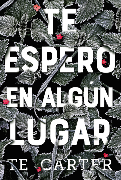 Te espero en algún lugar