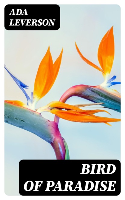 Bird of Paradise
