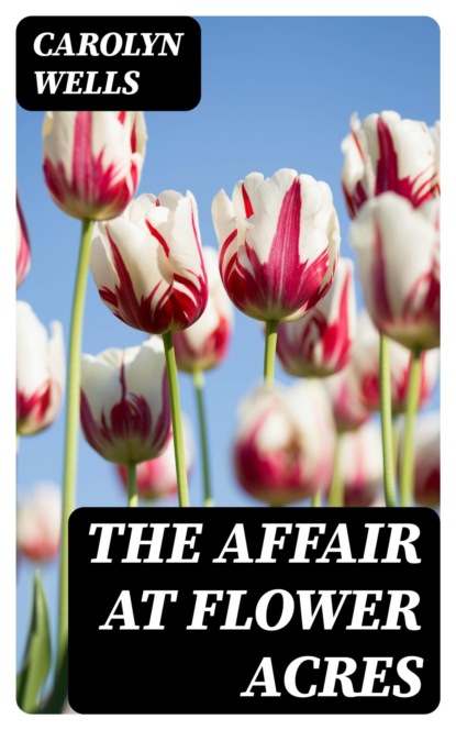 The Pirates of the West Indies