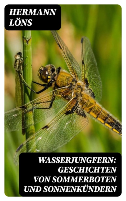 Wasserjungfern: Geschichten von Sommerboten und Sonnenkündern