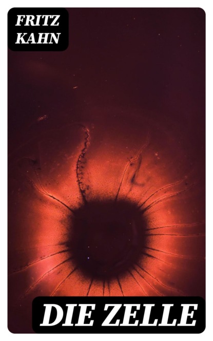 Die Zelle