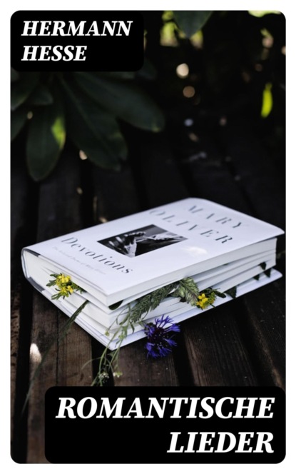 Romantische Lieder