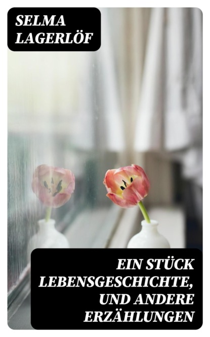 Ein Stück Lebensgeschichte, und andere Erzählungen