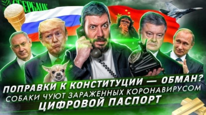 Поправки к конституции — обман? / Собаки могут чуять зараженных КОВИД-19 / Цифровой паспорт