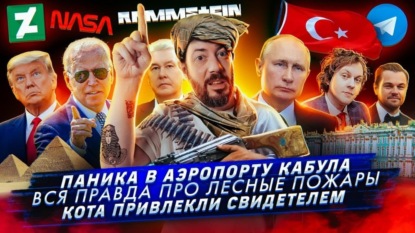 Паника в аэропорту Кабула / Вся правда про лесные пожары / Кота привлекли свидетелем