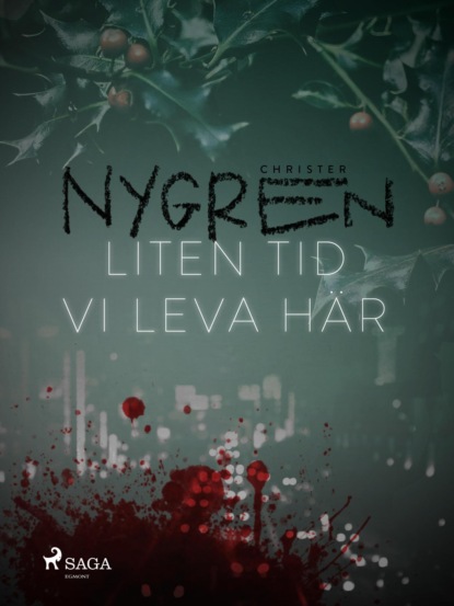 Liten tid vi leva här