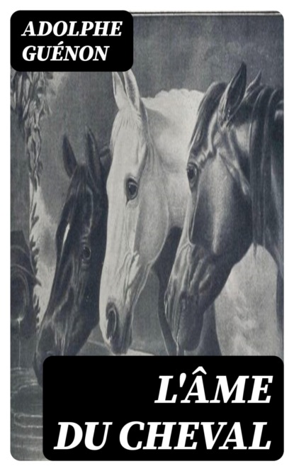 L'âme du cheval