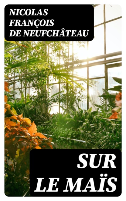 Sur le maïs