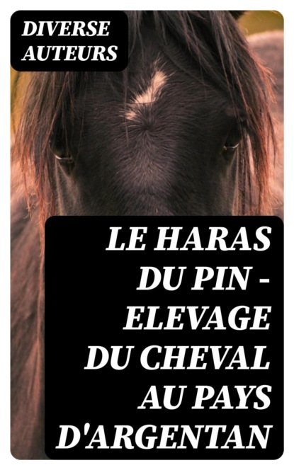 Le Haras du Pin - Elevage du cheval au pays d'Argentan