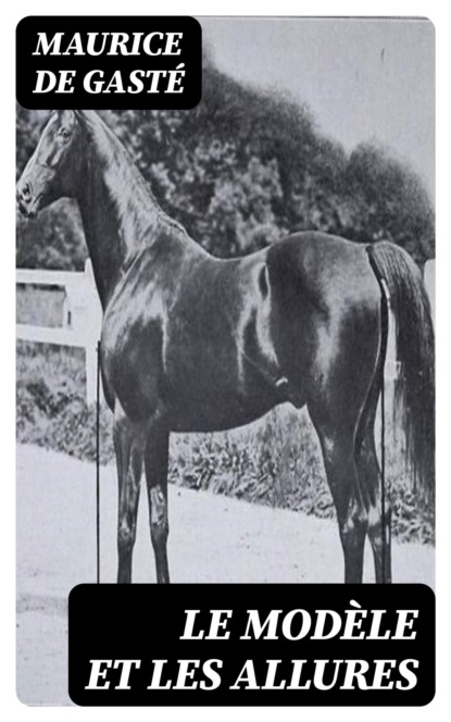 Le modèle et les allures