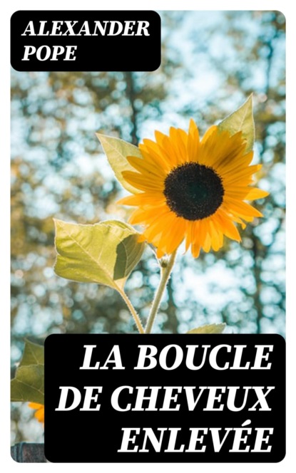 La boucle de cheveux enlevée