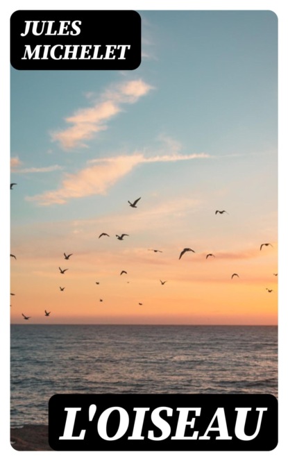 L'oiseau