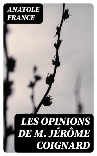 Les opinions de M. Jérôme Coignard