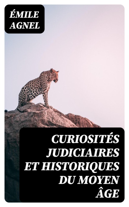 Curiosités judiciaires et historiques du moyen âge