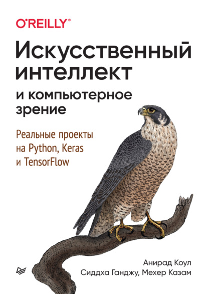 Анирад Коул — Искусственный интеллект и компьютерное зрение. Реальные проекты на Python, Keras и TensorFlow (+ epub)