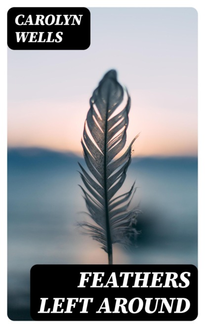 Feathers Left Around