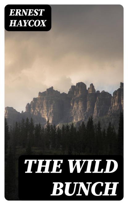 The Wild Bunch