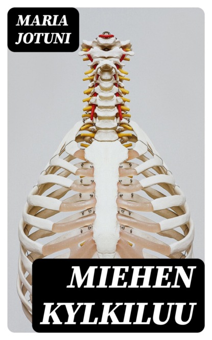 Miehen kylkiluu