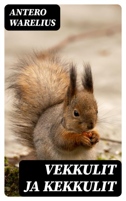 Vekkulit ja kekkulit